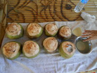 DSCN9473.JPG