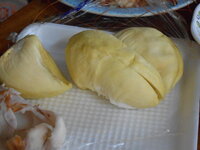 DSCN9481.JPG
