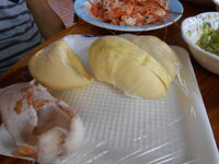 DSCN9480.JPG