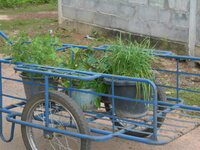 DSCN9597.JPG