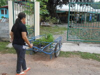 DSCN9598.JPG