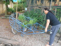 DSCN9602.JPG