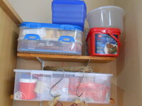DSCN9248.JPG