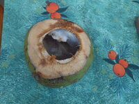 DSCN9579.JPG