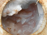 DSCN9583.JPG