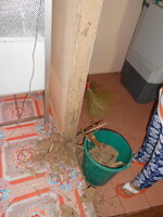 DSCN9684.JPG