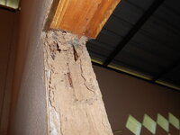 DSCN9686.JPG
