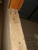 IMG_20171201_122707.jpg