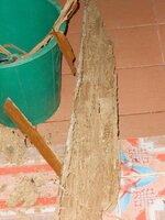 IMG_20171201_122800.jpg