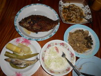 DSCN9148.JPG