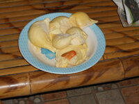 DSCN9144.JPG