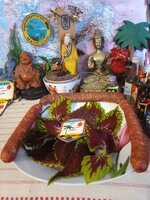 IMG_20240604_105857_468.jpg