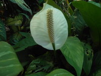 DSCN9488.JPG