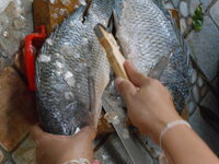 DSCN9772.JPG