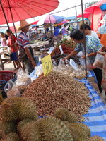 DSCN8952.JPG