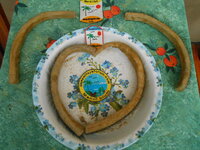 DSCN0137.JPG