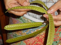 DSCN9795.JPG
