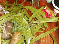 DSCN9796.JPG