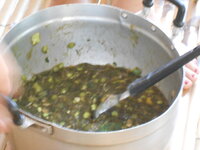 DSCN9670.JPG