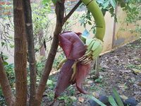 DSCN0104.JPG