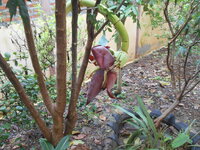 DSCN0103.JPG