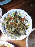 IMG_20170823_192638.jpg