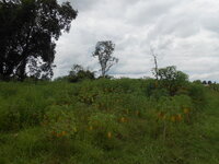 DSCN8331.JPG