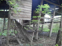 DSCN8328.JPG