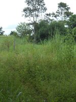 IMG_20170904_081608.jpg