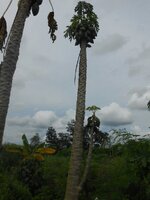 IMG_20170826_212056.jpg