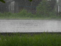 DSCN8394.JPG