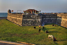 Colombia-Cartagena ''Innenstadt'' (42).jpg