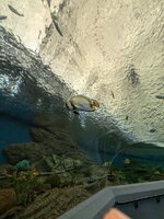 PXL_20240701_052537730.jpg