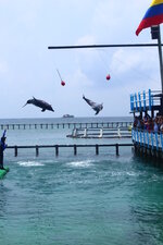 Colombia-Cartagena ''Isla de Rosario'' (54).JPG