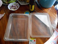 DSCN9813.JPG