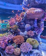 PXL_20240708_092705041~2.jpg