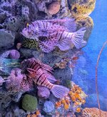 PXL_20240708_092500749~2.jpg