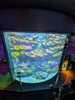 PXL_20240708_092241193~2.jpg