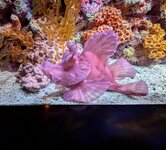 PXL_20240708_092105685.MP~2.jpg