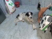 IMG-20240531-WA0014.jpg