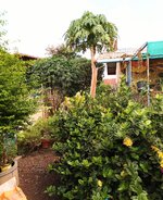IMG_20230511_152319_529~2.jpg