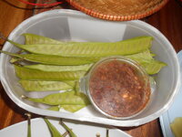 DSCN0447.JPG