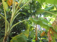 DSCN0032.JPG