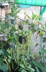 IMG_20220513_212428.jpg