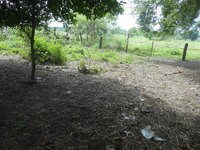 DSCN0047.JPG
