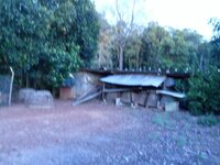 IMG_20230322_071126.jpg