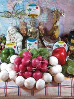IMG_20170920_183748.jpg