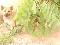 DSCN8818.JPG