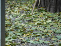 DSCN9669.JPG