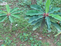 DSCN9839.JPG